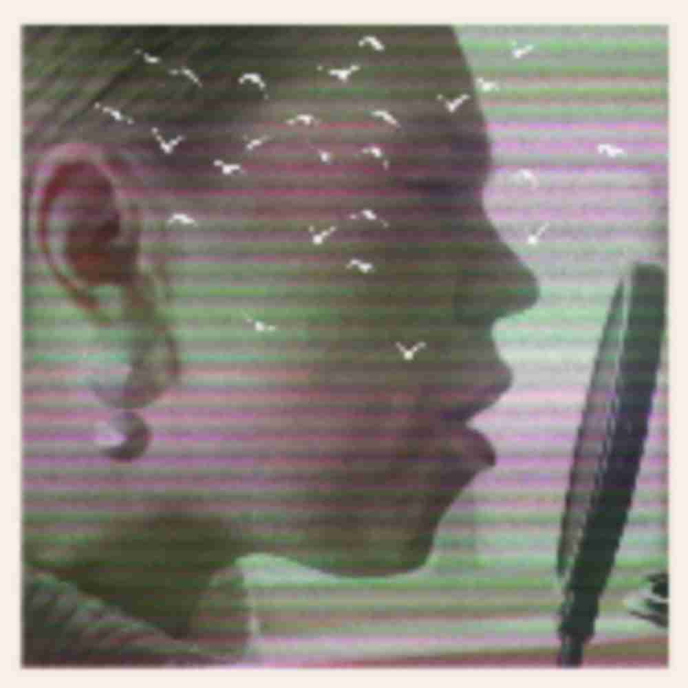 Somewhere There’s War